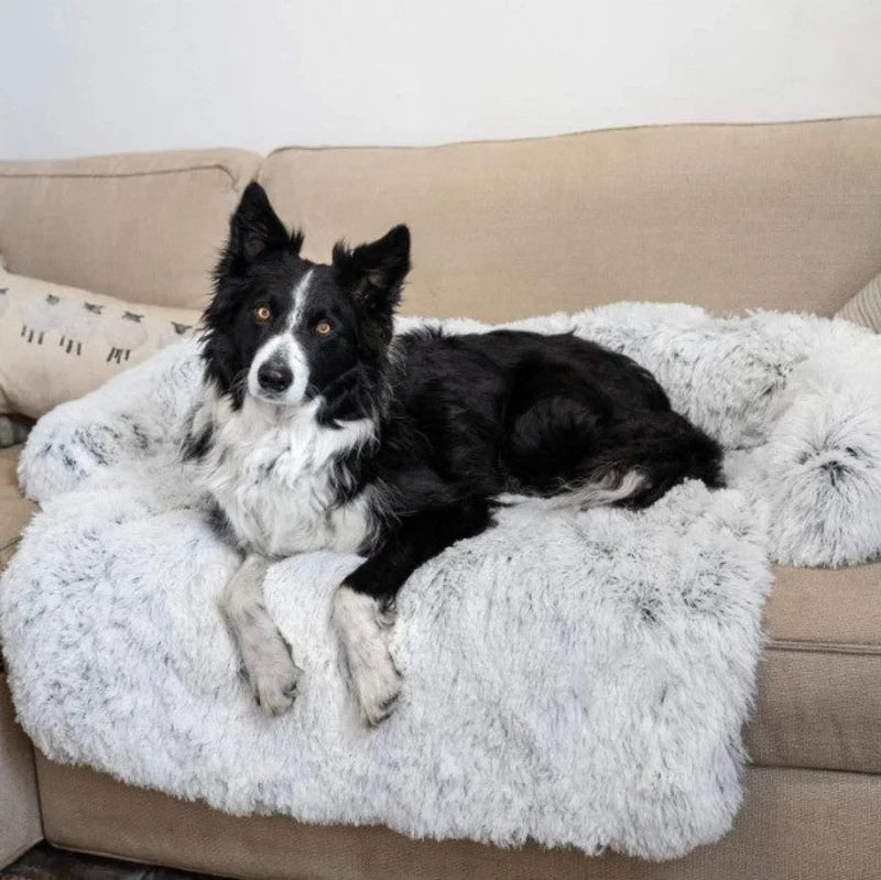 Dunkelgraues Hundebett, luxuriöses Design für große Hunde, waschbar & gemütlich. Perfektes Haustierbett.