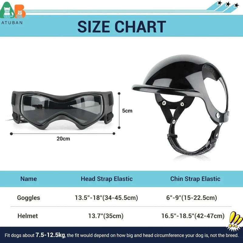Wasserdichter Hundehelm mit Schutzbrille, ideal für Strand und Gebirge. Augenschutz für alle Hunde.