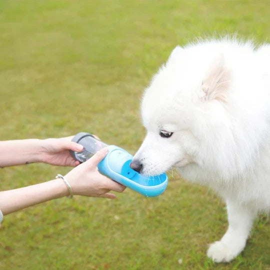 Haustier-Reise-Trinkflasche mit Aktivkohlefilter für sauberes Trinkwasser, perfekt für Hunde & Katzen.