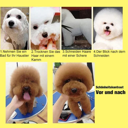 Profi-Hundeschere für glattes, gepflegtes Hundefell, unverzichtbar für die Tierpflege.