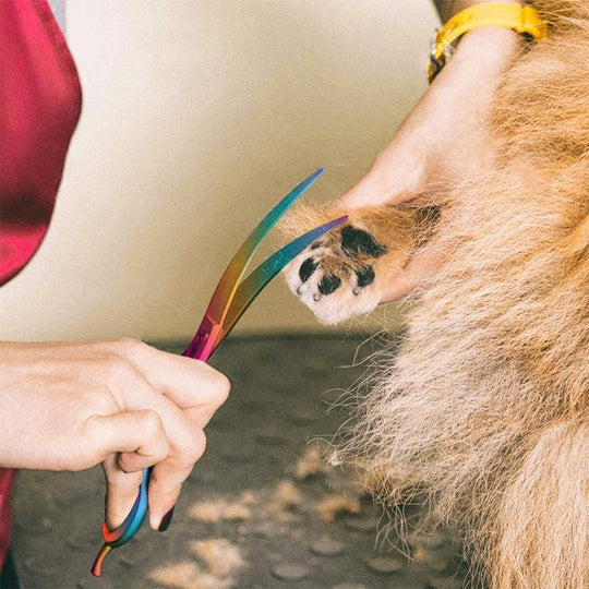 Ergonomische Hundeschere für sanfte und präzise Fellpflege, ideal für komfortables Grooming.