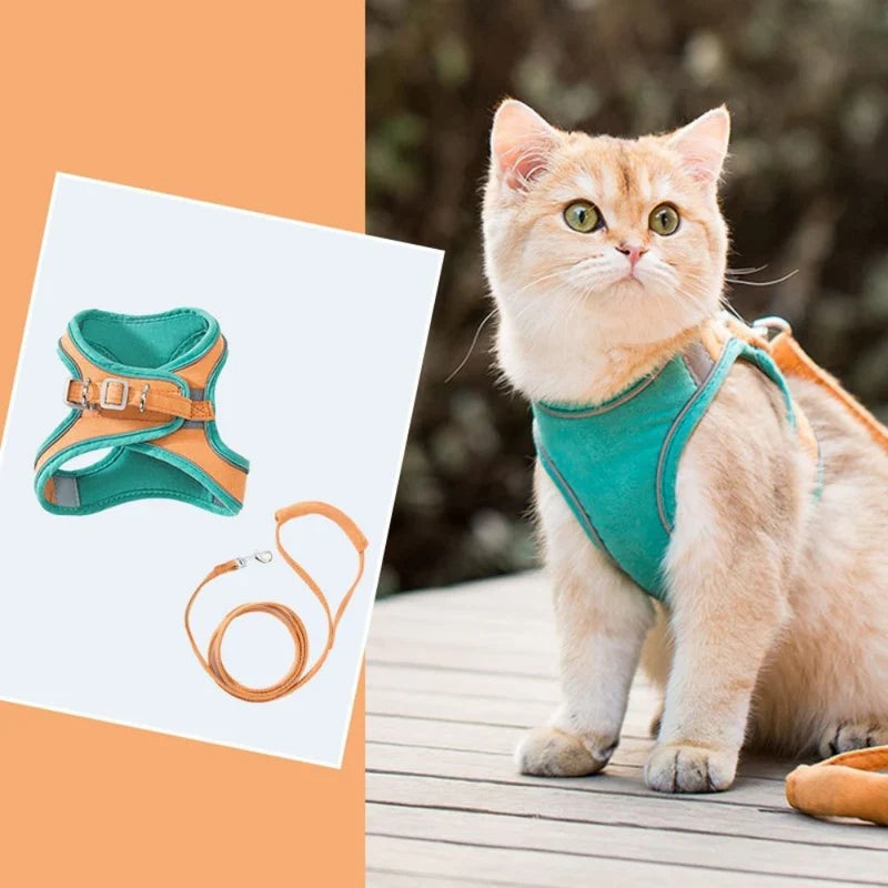 Robustes Katzengeschirr mit Schnellverschluss; einfaches An- und Ablegen für stressfreie Spaziergänge.