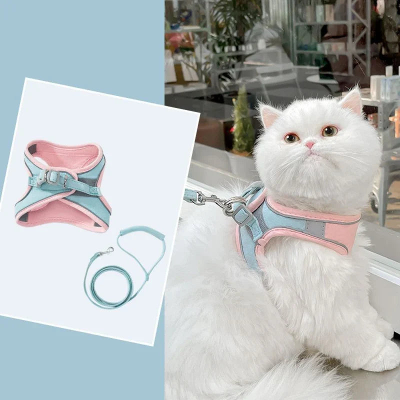 Leichtes Katzen-Harness, ideal für warme Tage; atmungsaktives Material für Kühlung.
