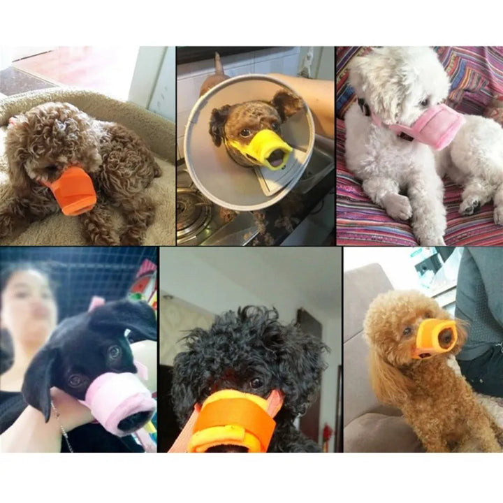 Praktischer Hundemaulkorb mit Schnellverschluss, bietet maximale Sicherheit beim Gassi.