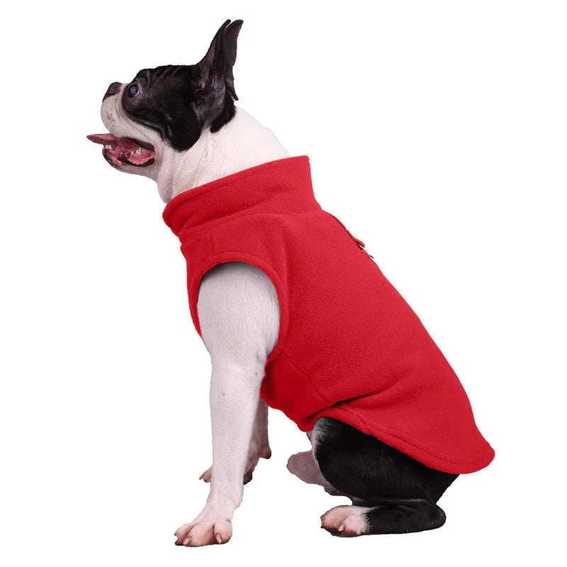 Aktiver Hund in stilvoller Ganzjahres Hundebekleidung, bereit für Abenteuer. Optimaler Schutz & Komfort.