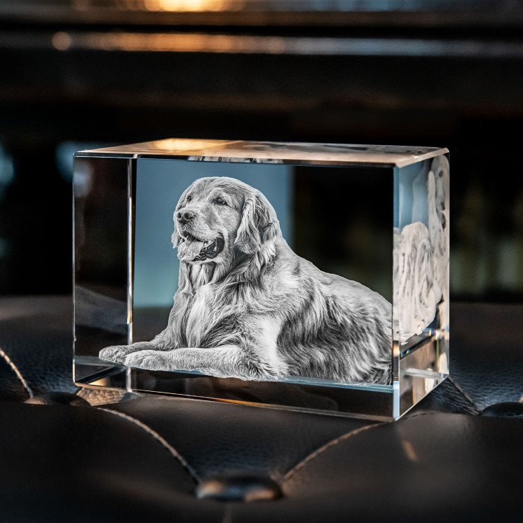 Personalisiertes 2D/3D Foto Kristall mit Laser Gravur und LED Licht Basis. Einzigartiges Erinnerungsstück.