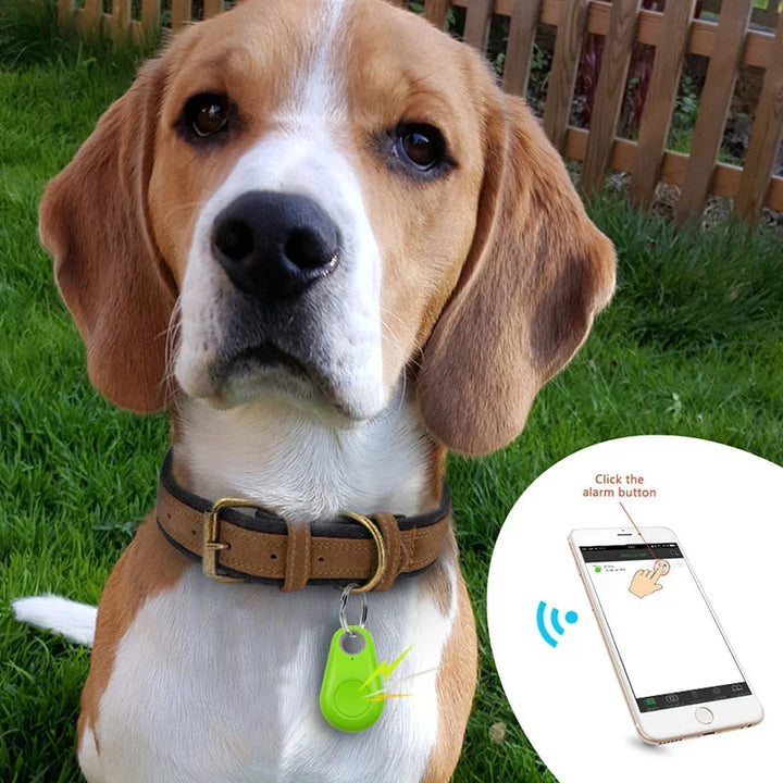 Kompakter GPS-Hundetracker, schwarz, am Geschirr befestigt, für maximale Sicherheit.