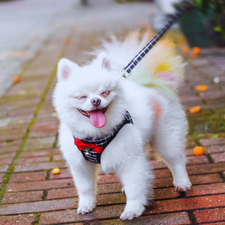 Elegantes Hundegeschirr für kleine Hunde mit verstellbaren Gurten und Schleife, für Komfort & Sicherheit.