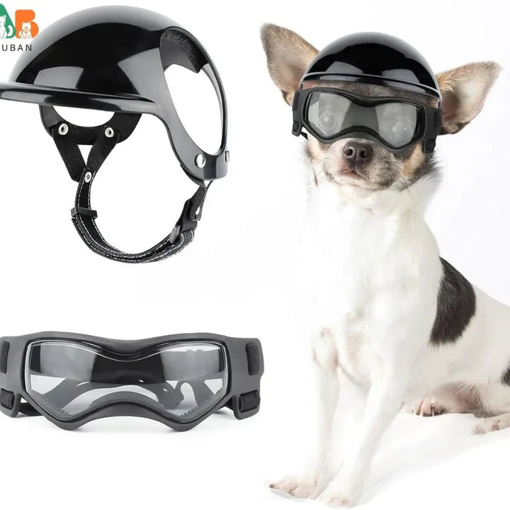 Stilvoller Hundehelm mit Schutzbrille, ideal für Hunde bei Sonne. Optimierter UV-Schutz für Welpen.
