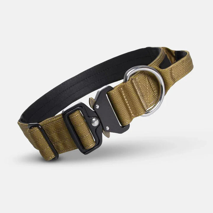 Taktisches Hundehalsband mit D-Ring & Kontrollgriff, ideal für Hundetraining, Outdoor & Sicherheit großer Hunde.