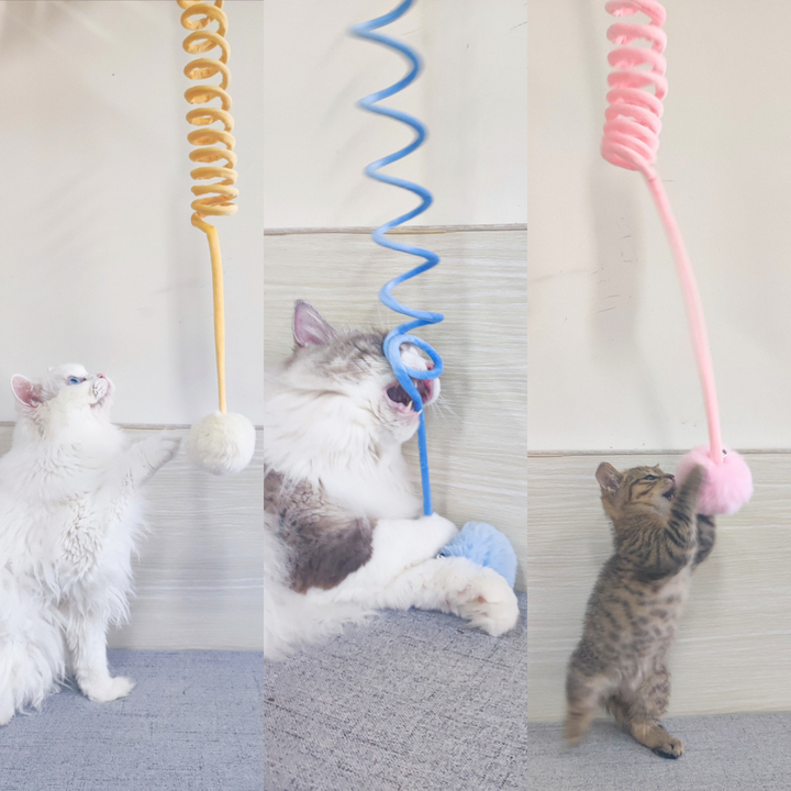 Interaktives Katzenspielzeug mit Gummizug für aktive Katzen & Kätzchen. Fördert Spiel & Fitness.