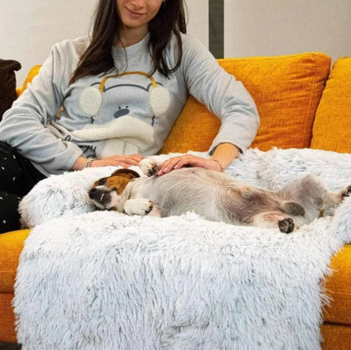 Luxuriöses Hundesofa in Grau, gemütlicher Schlafplatz für mittelgroße Hunde, waschbares Hundebett.