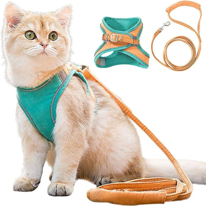 Stilvolles Katzen-Harness, weich gepolstert für maximalen Komfort; perfekt für tägliche Spaziergänge.
