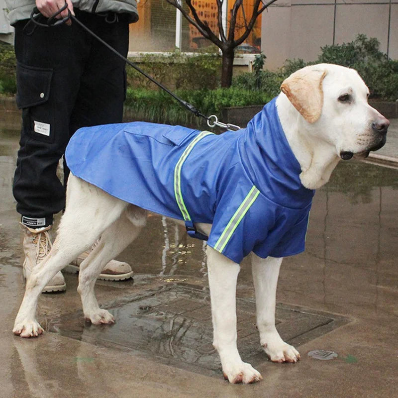 Wasserdichte Hundejacke StormGuard, reflektierend für sichere Outdoor-Spaziergänge bei jedem Wetter.