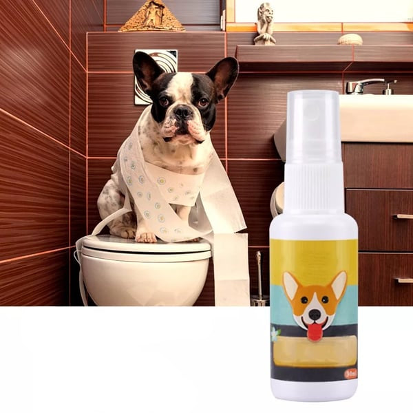 Erwachsener Hund nutzt Stubenrein Trainingsspray für verbesserte Erziehung und Sauberkeit im Haus.