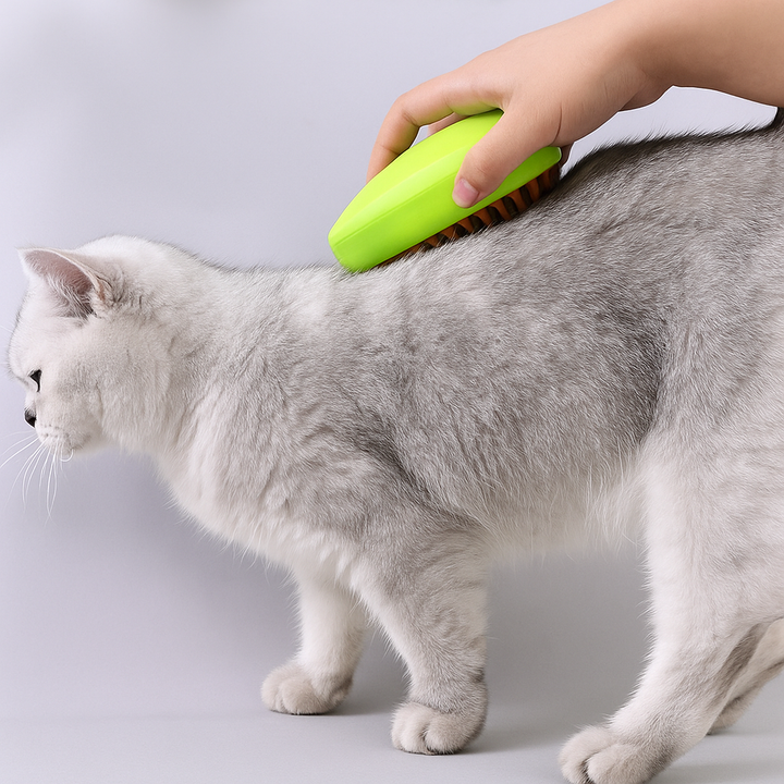 Innovative Haustier-Dampfbürste für Hunde & Katzen zur Tiefenreinigung, Fellpflege und Entfernung loser Haare.