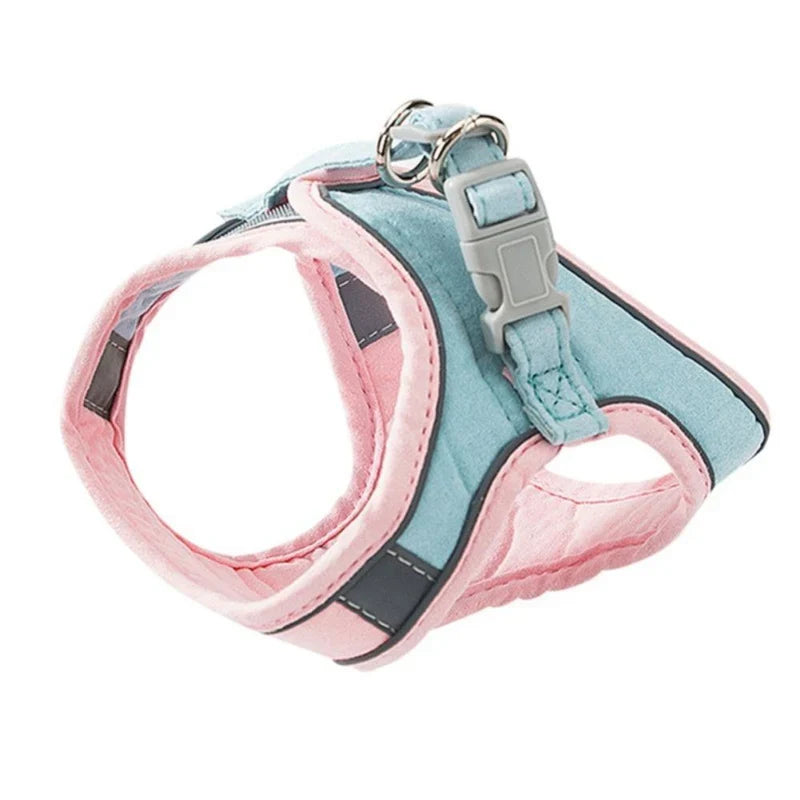Premium Katzengeschirr für kontrollierte Spaziergänge; ergonomisches Design verhindert Druckstellen.
