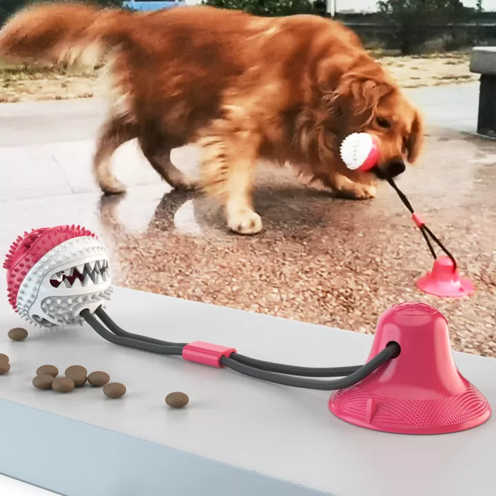 Robustes Zerrtau für Hunde, ideal für interaktives Spiel und starke Kiefer. Strapazierfähiges Hundespielzeug.