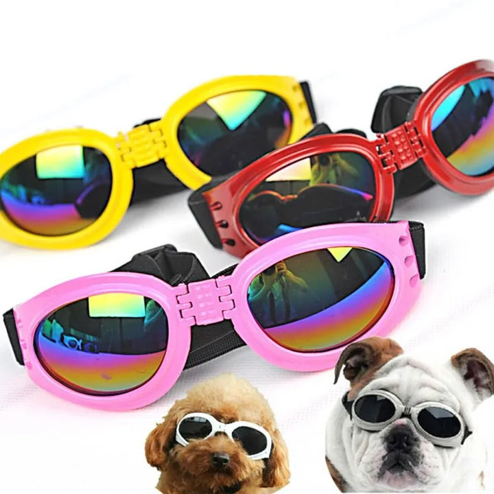 Gelbe Hundeschutzbrille. Robuste UV-Schutzbrille für Hunde. Schützt Augen bei jedem Outdoor-Erlebnis.