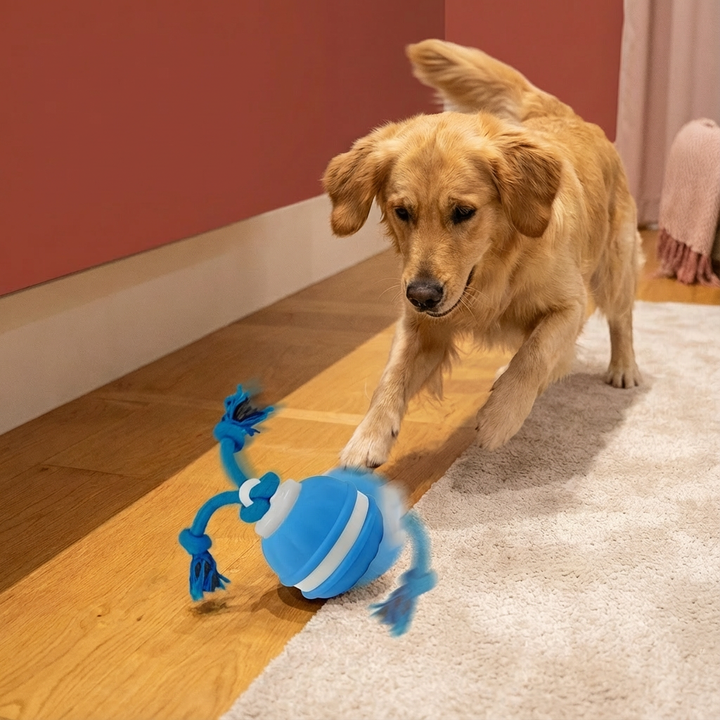 Aktivierender Hundespielball mit Bewegungssensor, Zugseil, für interaktives Spielen.