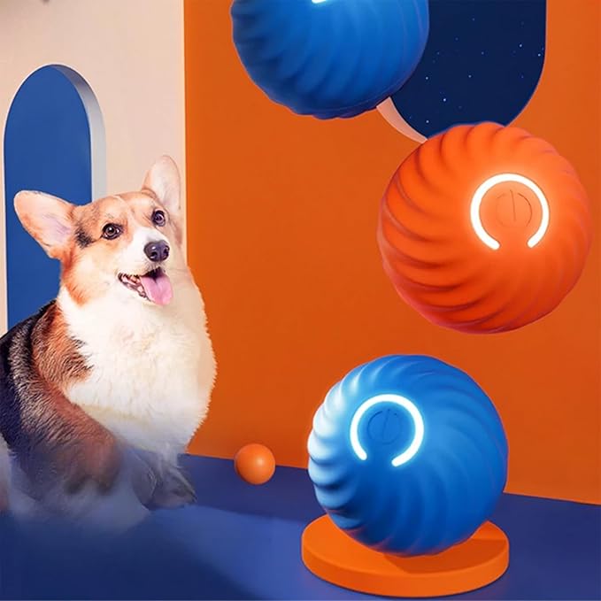 Ein Border Collie apportiert fröhlich den interaktiven Springball, ideales Hundespielzeug für Bewegung.