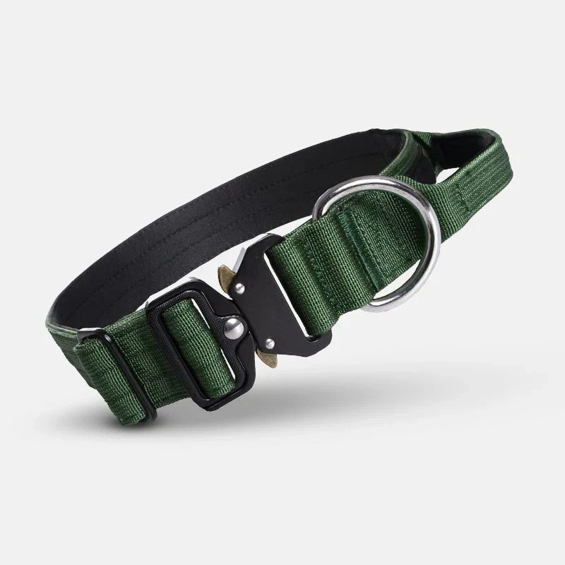 Verstellbares, robustes taktisches Hundehalsband für große Hunde, perfekt für Training & sichere Führung.