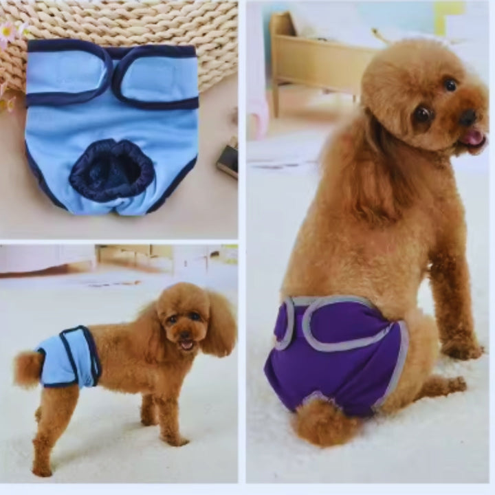 Komfortable Hundewindel für Rüden in Aktion, schützt vor Inkontontinenz, sitzt sicher und bequem.