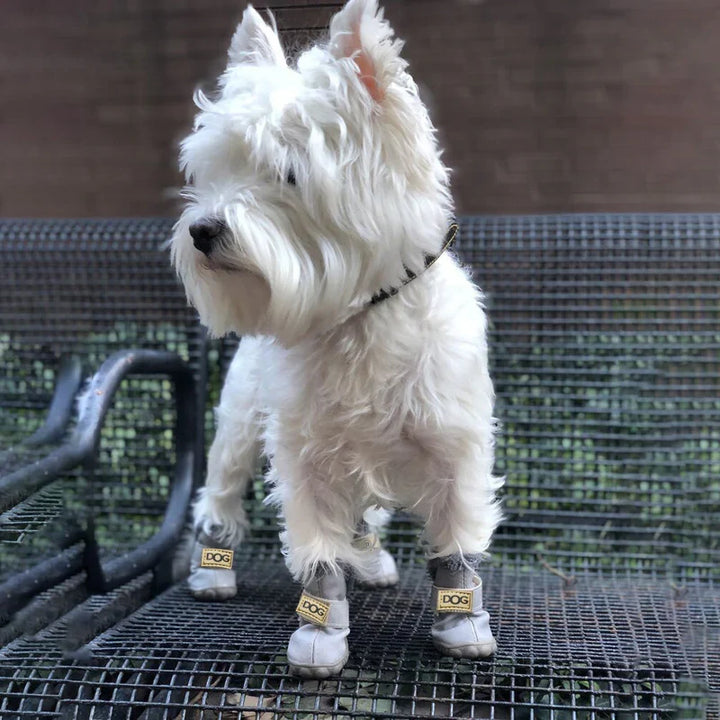 Hund im Schnee mit rutschfesten, warmen Hundeschneestiefeln. Perfekter Pfotenschutz für winterliche Spaziergänge.