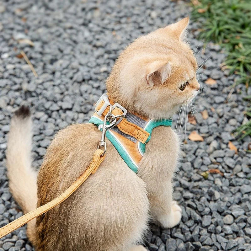 Katzengeschirr für sichere Spaziergänge; verstellbar, bequem und ausbruchsicher für Ihre Katze.