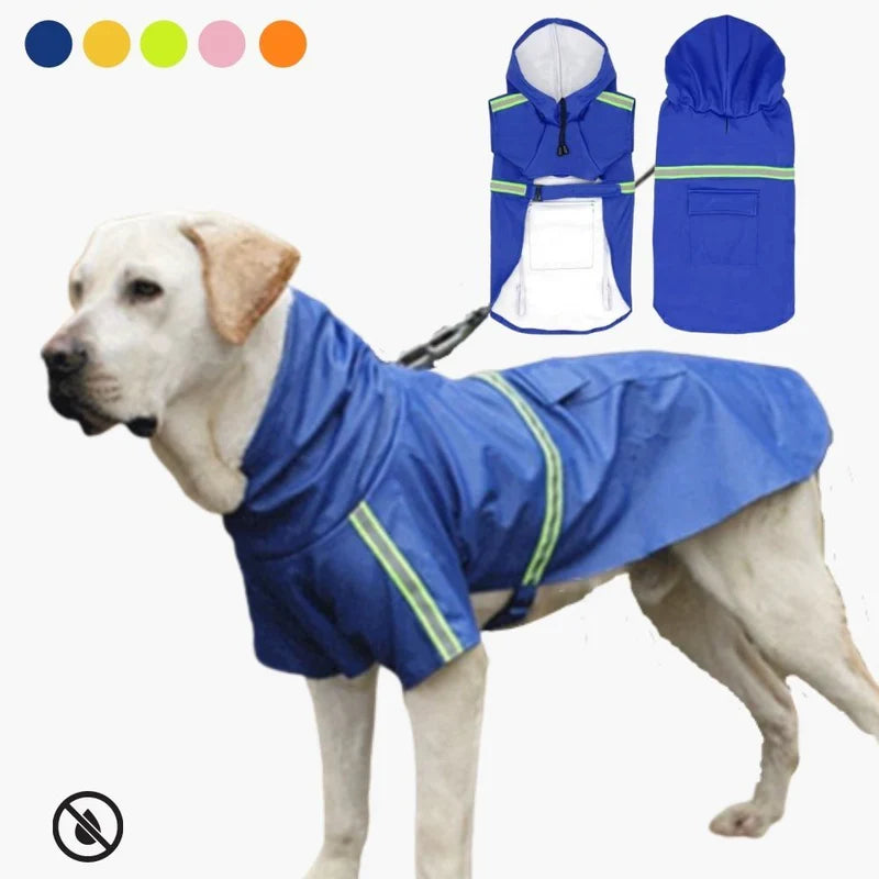 Wetterfeste StormGuard Hundebekleidung schützt Vierbeiner zuverlässig vor Regen, Wind und Kälte.