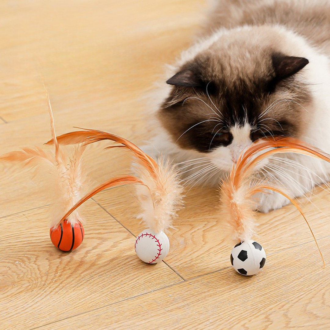 Interaktives Katzen Federball Spielzeug für geistige Stimulation & Bewegung. Fördert Spielspaß bei Katzen.