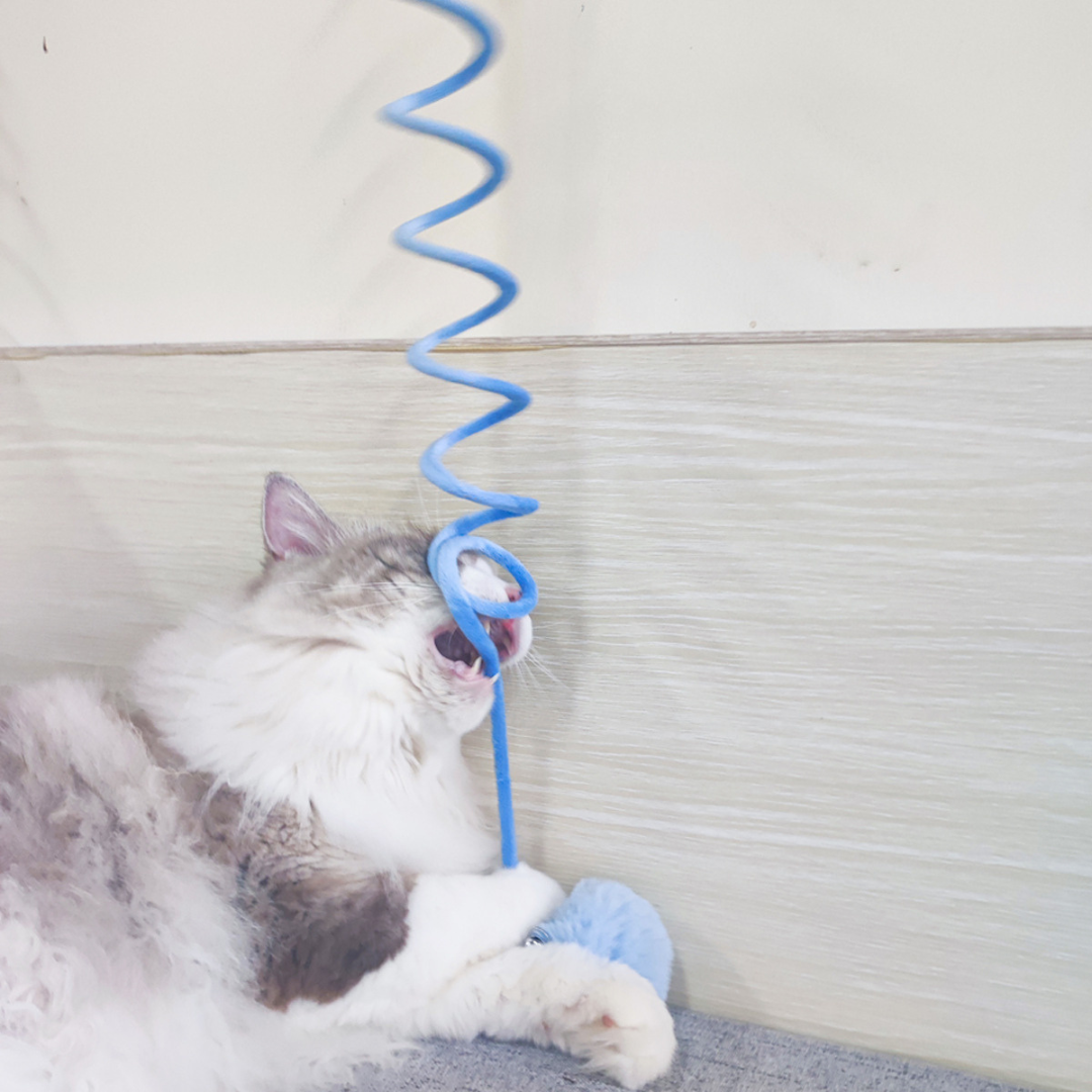 Lustiges Gummizug Katzenspielzeug: Fördert den Jagdinstinkt & die Aktivität Ihrer Katze oder Kätzchens.