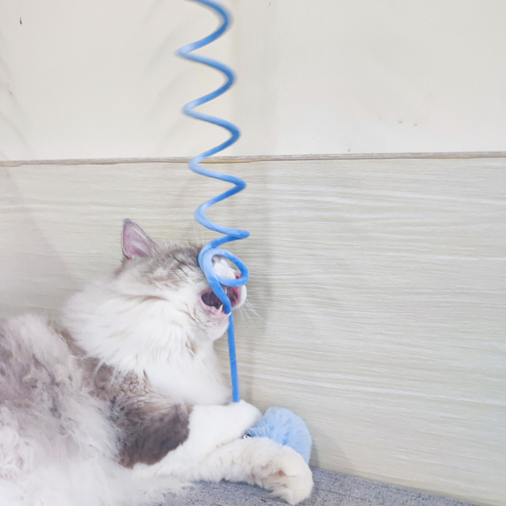 Lustiges Gummizug Katzenspielzeug: Fördert den Jagdinstinkt & die Aktivität Ihrer Katze oder Kätzchens.