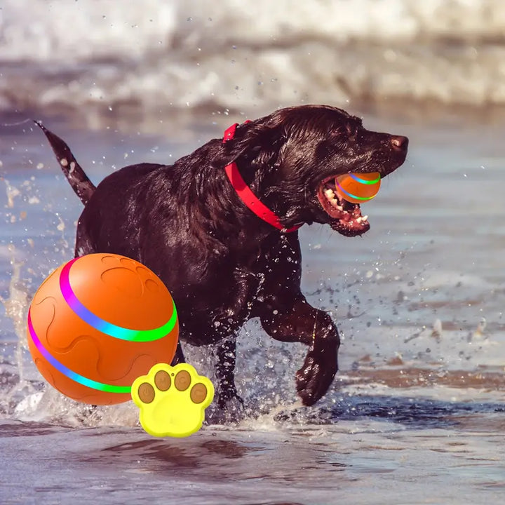 Robuster, interaktiver Spielball für Haustiere. Automatischer Rollball zur mentalen Aktivierung von Hunden & Katzen.