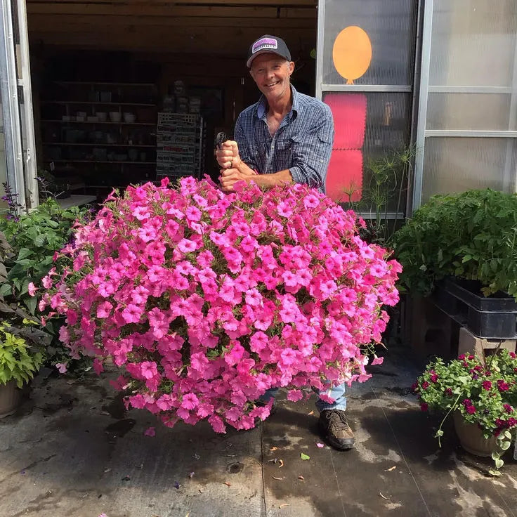 Langlebiger Blumenampelkorb mit künstlichen Blüten, UV-geschützt für ganzjährige Schönheit.