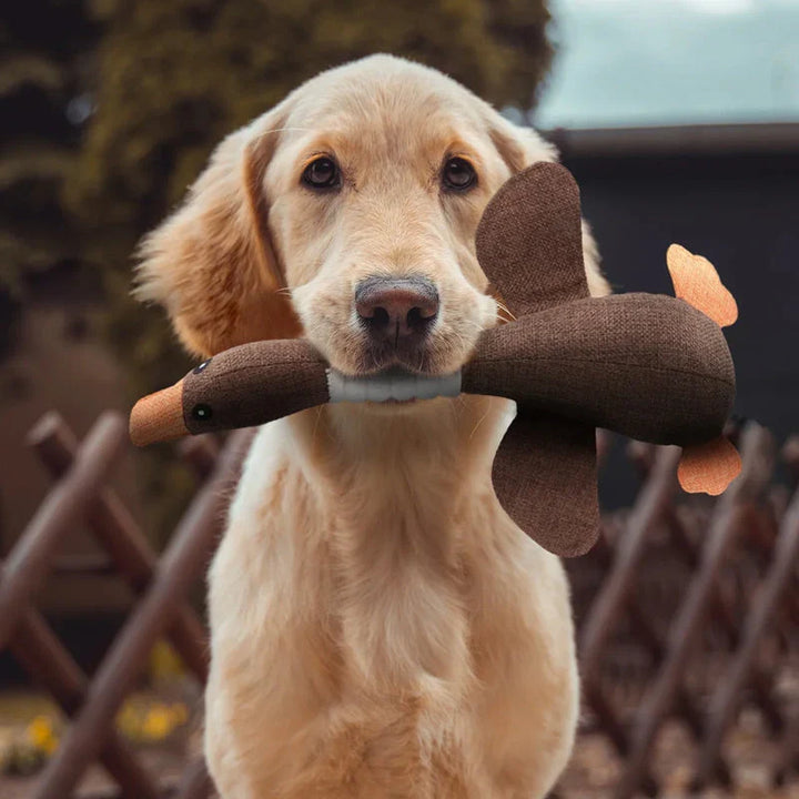 Robustes Hundespielzeug, ideal für starke Kauer, fördert die Zahngesundheit und langanhaltenden Spielspaß.
