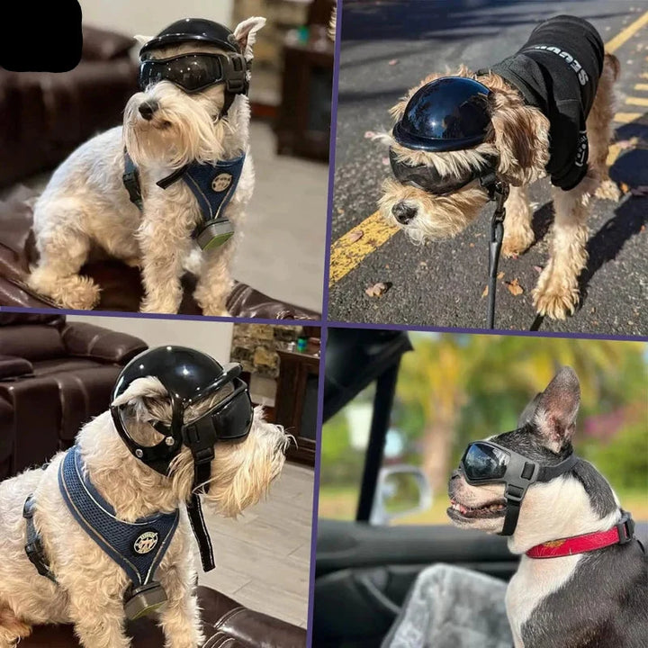 Hundehelm mit Brille für UV-Schutz, stilvolles Hunde-Accessoire für Outdoor-Abenteuer und Sicherheit.