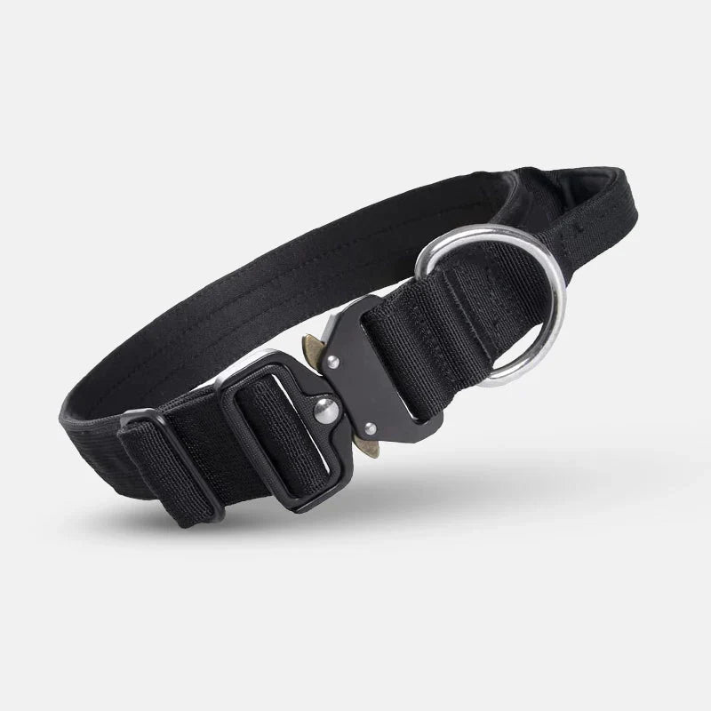 Großer Hund trägt taktisches Hundehalsband aus robustem Nylon mit Kontrollgriff für maximale Sicherheit.