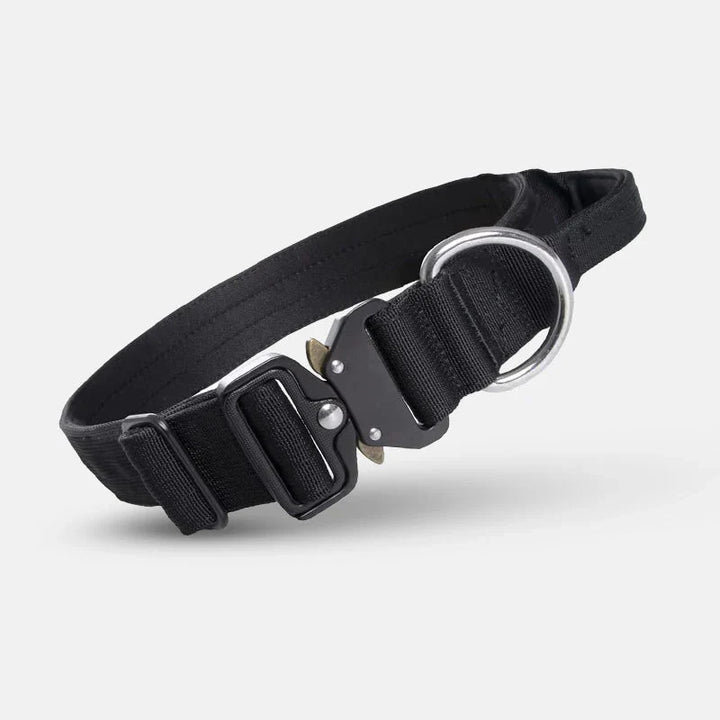 Großer Hund trägt taktisches Hundehalsband aus robustem Nylon mit Kontrollgriff für maximale Sicherheit.