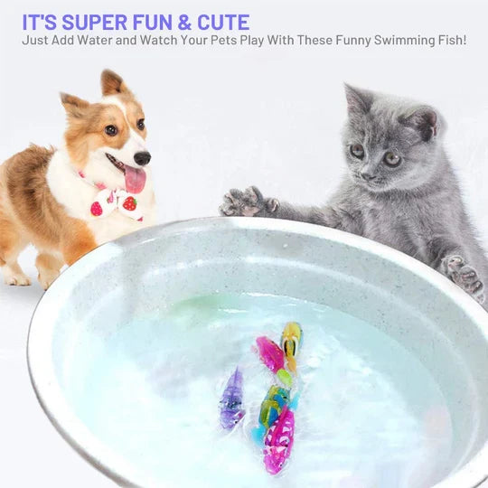 Aktives Wasserspielzeug: Interaktive Fische, die Ihre Katze zum Jagen animieren.