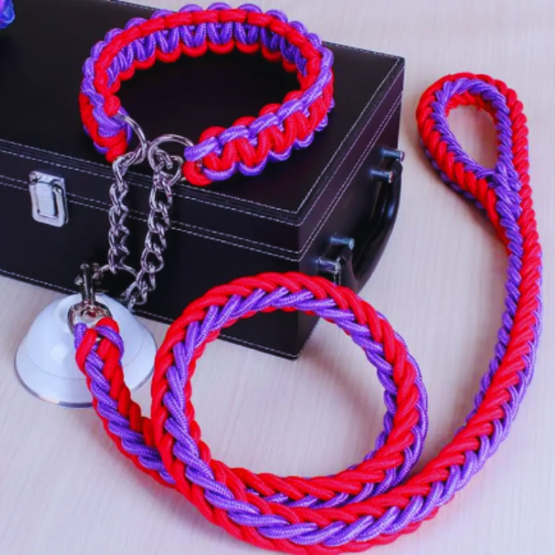 Hochwertiges Hundezubehör: Nylon-Hundehalsband & passende Führleine für sicheres Hundetraining.