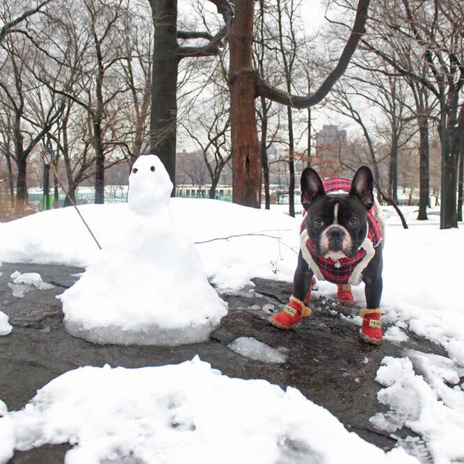 Ein Paar hochwertige, gemütliche Hundeschneestiefel, bereit für Winterabenteuer. Wichtiger Pfotenschutz für Hunde.