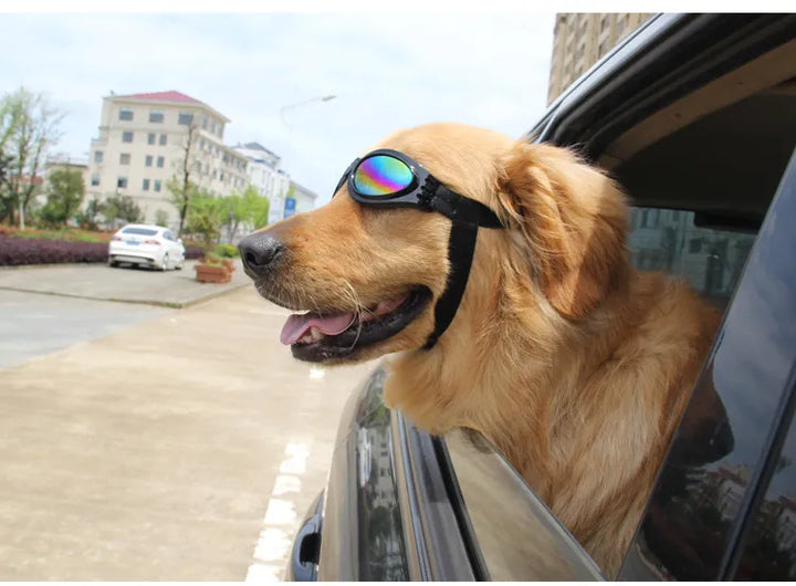 Modische Hundeschutzbrille in Pink. Bietet UV-Schutz und Augenschutz für Hunde bei Sonne. Hundeaccessoire.
