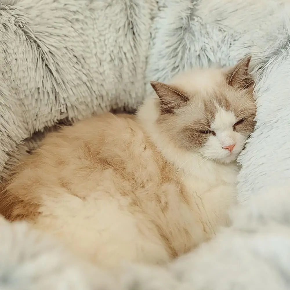 Gemütlicher Plüsch-Spieltunnel und Katzenbett in Grau-Bunt, eine Kuschelhöhle für aktive Katzen zum Verstecken.