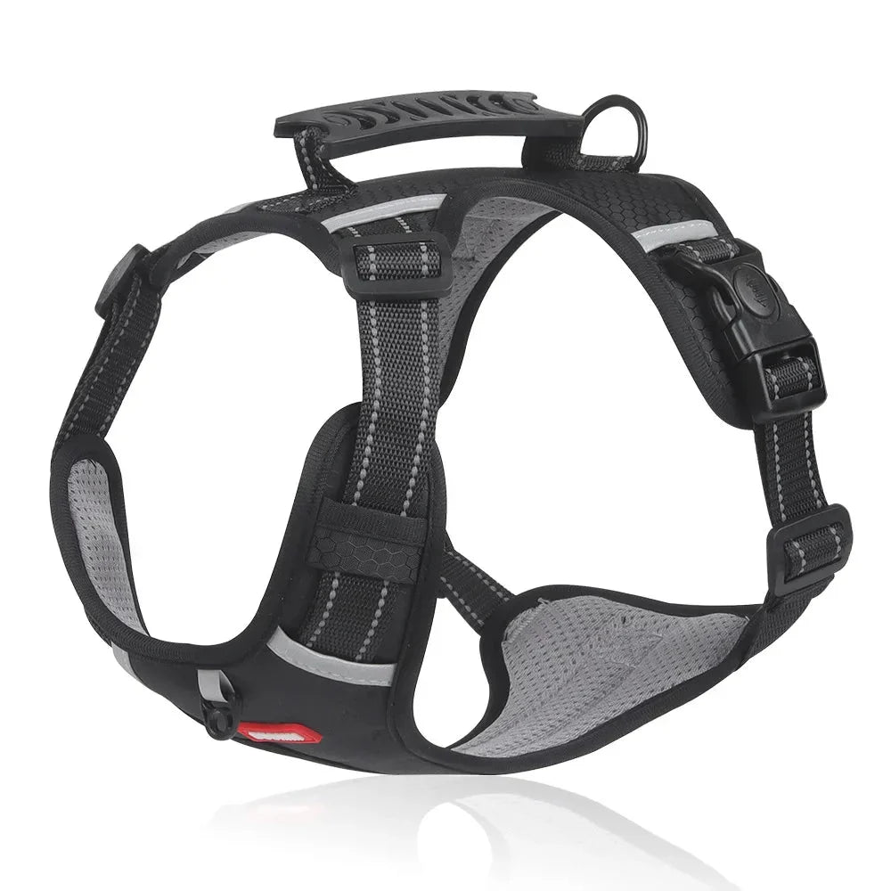 Reflektierendes Sicherheitsgeschirr LeichtLauf, zugfrei & verstellbar. Ideal für Outdoor-Aktivitäten, auch bei Nacht.