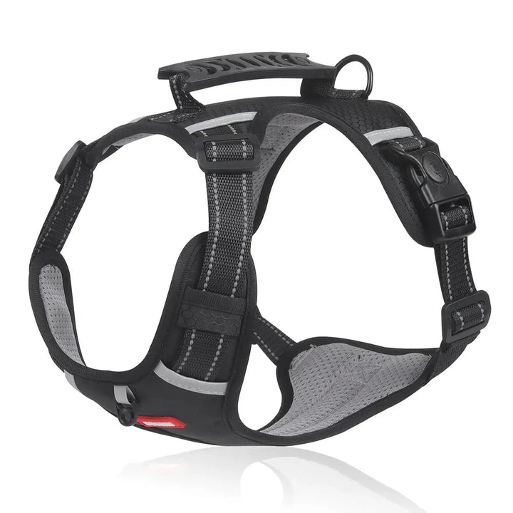 Reflektierendes Sicherheitsgeschirr LeichtLauf, zugfrei & verstellbar. Ideal für Outdoor-Aktivitäten, auch bei Nacht.