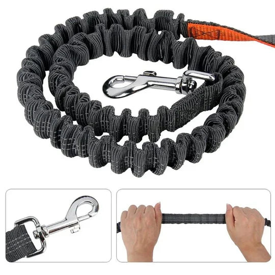 Praktisches Hundezubehör: Freihändige Trainingsleine mit Hüftgurt für Outdoor-Sport & aktives Training.