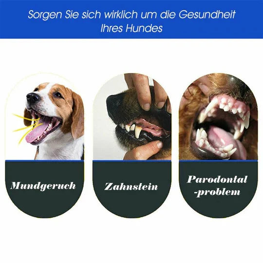 Einfache Anwendung: 3-Kopf-Hundezahnbürste für umfassende Zahnpflege, starke Zähne und langanhaltend frischen Atem.