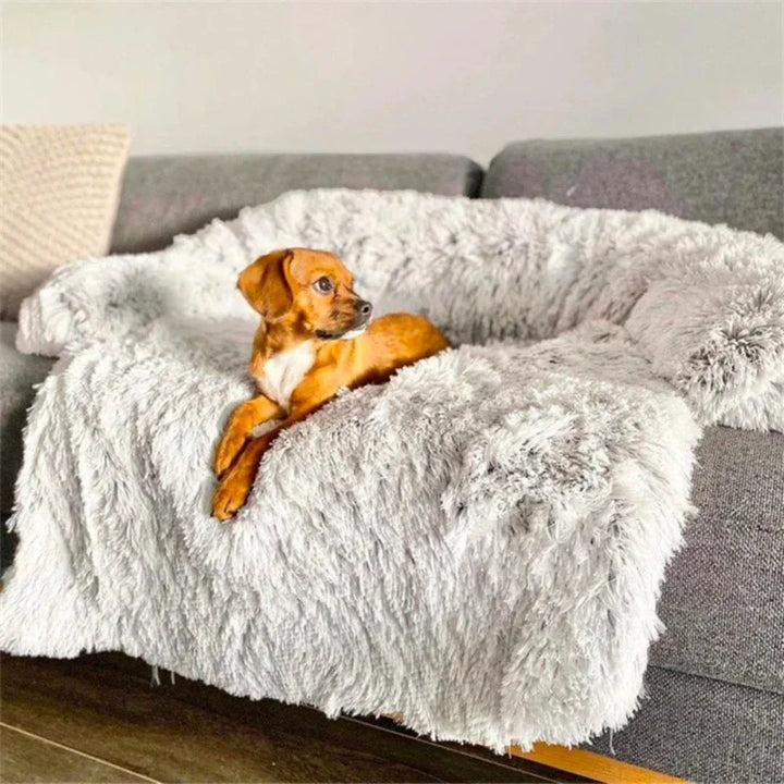 Waschbares Hundebett in Grau, luxuriöses Hundesofa für alle Hunderassen, komfortabler Schlafplatz.