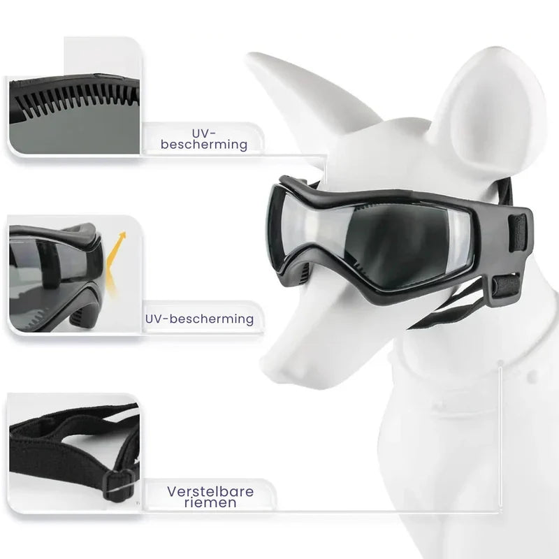 Ergonomischer Hundehelm mit verstellbarer Brille, bietet optimalen Komfort und UV-Schutz für Ihren Hund.